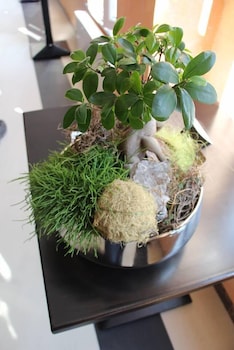 hotel restaurante lorca