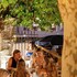 alfred hotels les halles ex hotel anjou