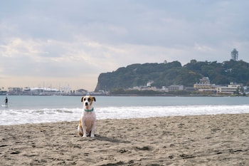 kamakura