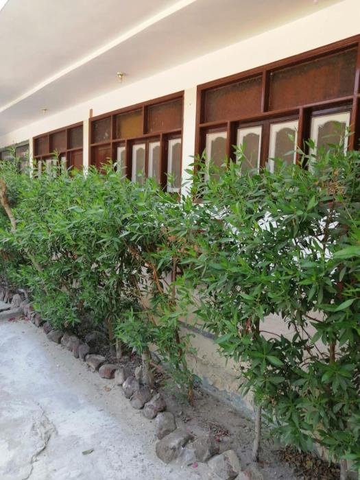 rezeiky hotel and camp luxor