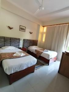 rezeiky hotel and camp luxor