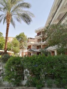 rezeiky hotel and camp luxor