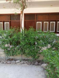 rezeiky hotel and camp luxor