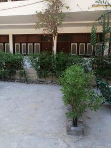 rezeiky hotel and camp luxor