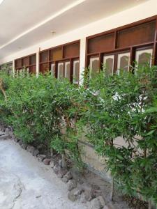 rezeiky hotel and camp luxor