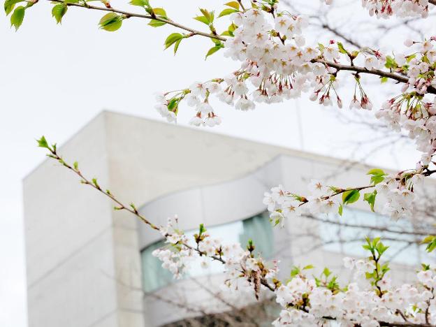 hotel mystays sapporo nakajima park