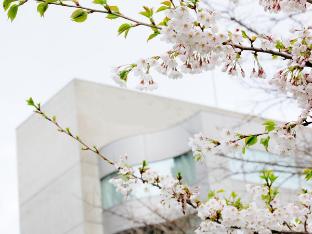 hotel mystays sapporo nakajima park