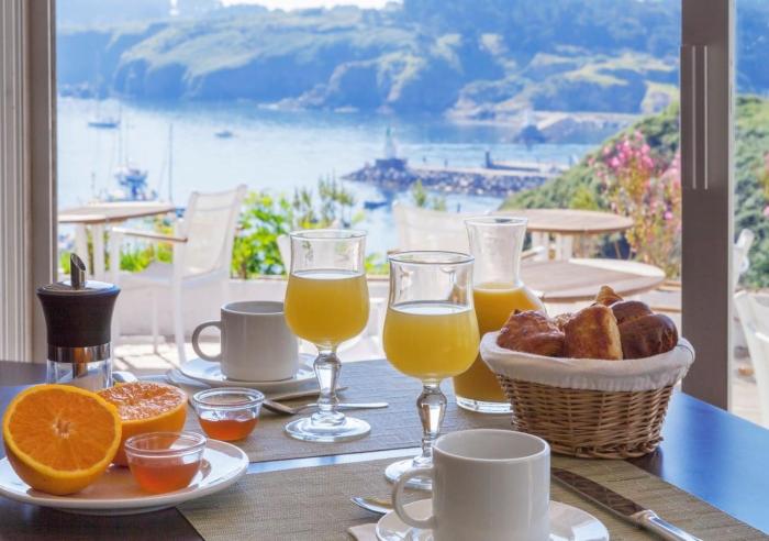 le cardinal belle ile en mer