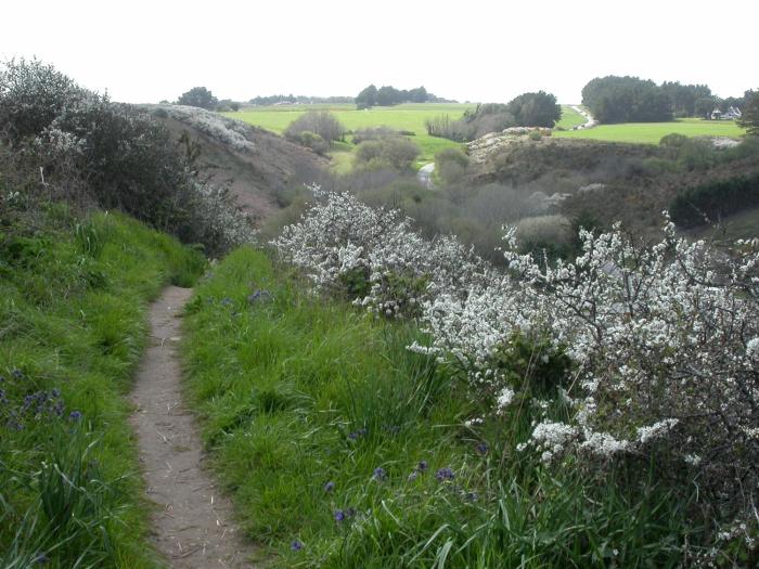 le cardinal belle ile en mer