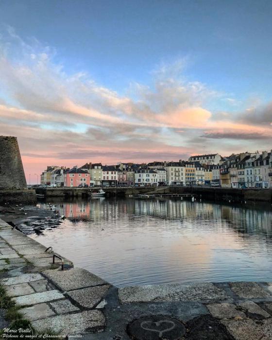 le cardinal belle ile en mer