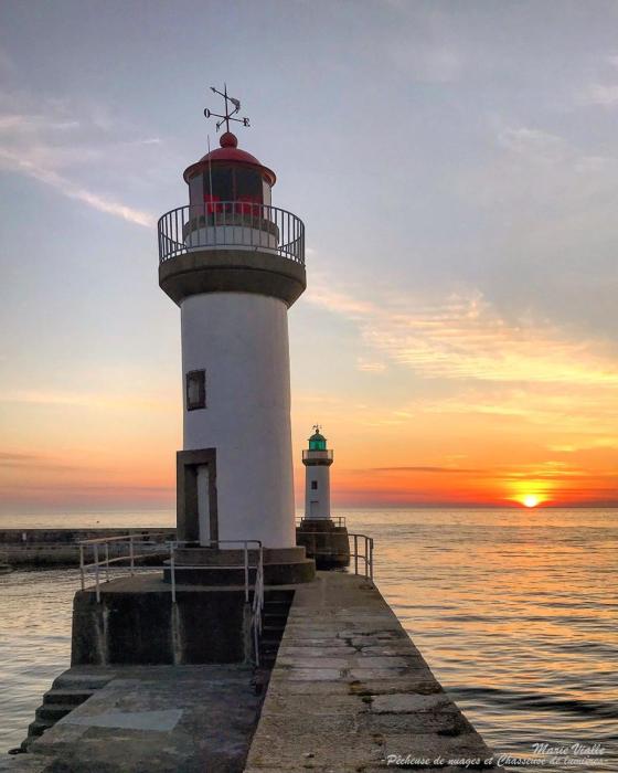 le cardinal belle ile en mer