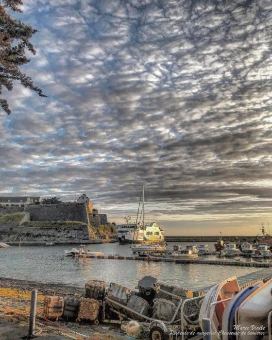 le cardinal belle ile en mer