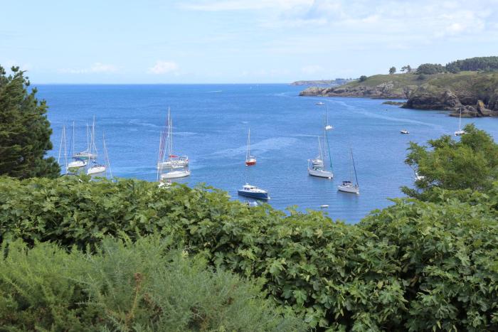 le cardinal belle ile en mer