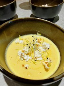 le cardinal belle ile en mer