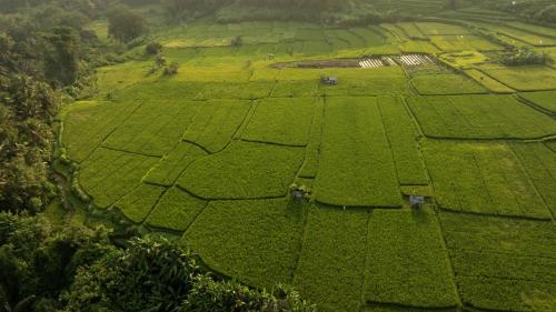bambu indah villa ubud