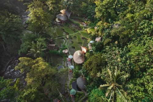 bambu indah villa ubud