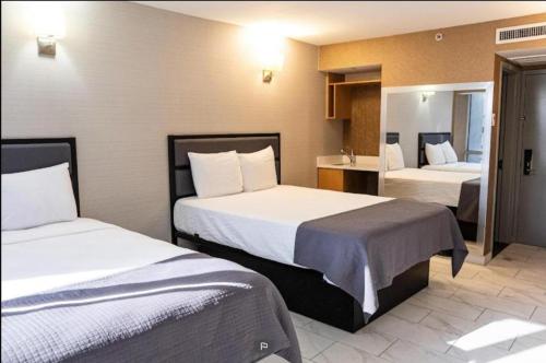 hotel moca nyc