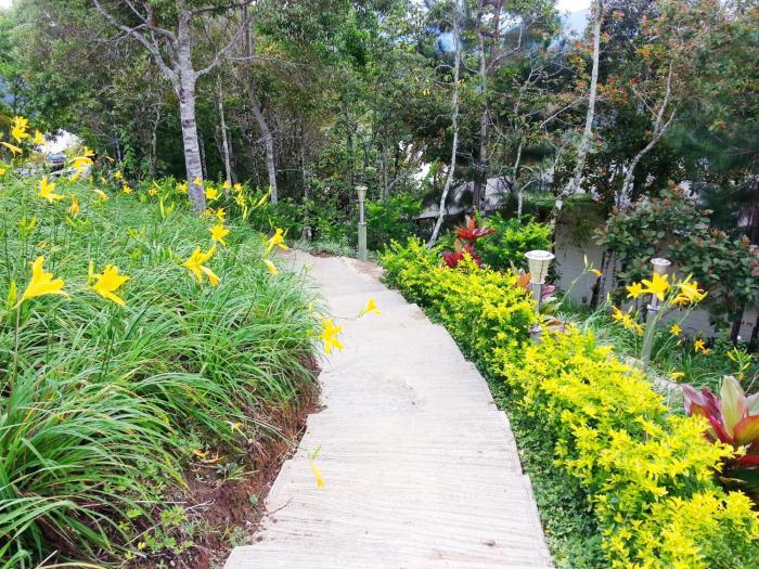 celyn resort kinabalu