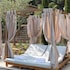 hotel lescalet