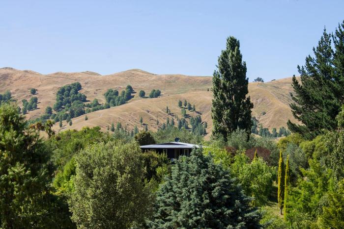 havelock north