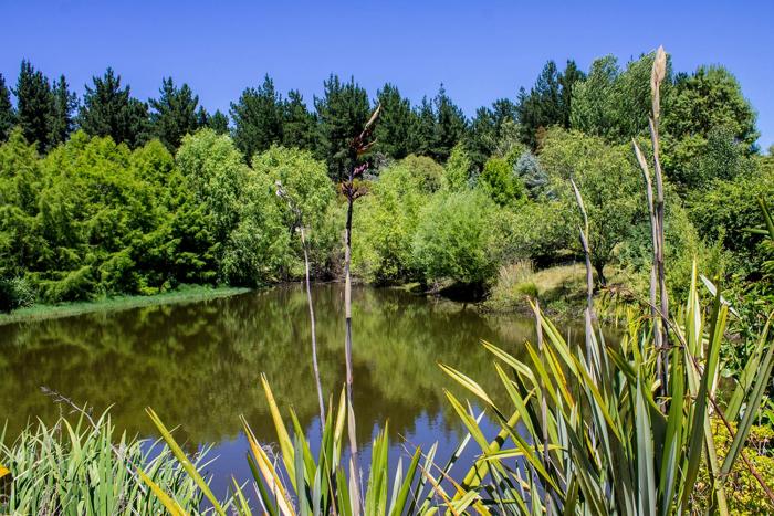 havelock north
