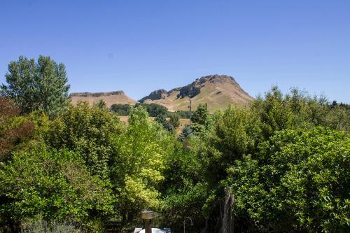 havelock north