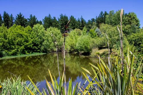 havelock north