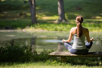 mayflower inn and spa auberge resorts collection