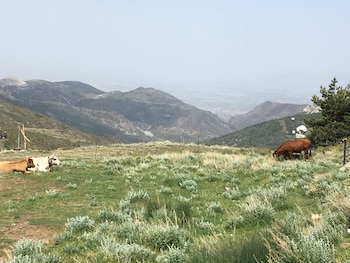 inside plaza sierra nevada