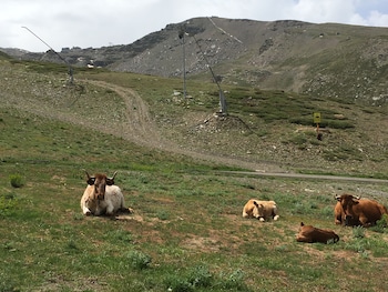 inside plaza sierra nevada