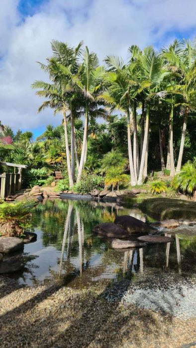 avalon resort