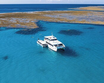 sandcastles 1770 motel and resort
