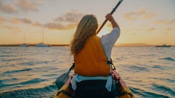 sandcastles 1770 motel and resort