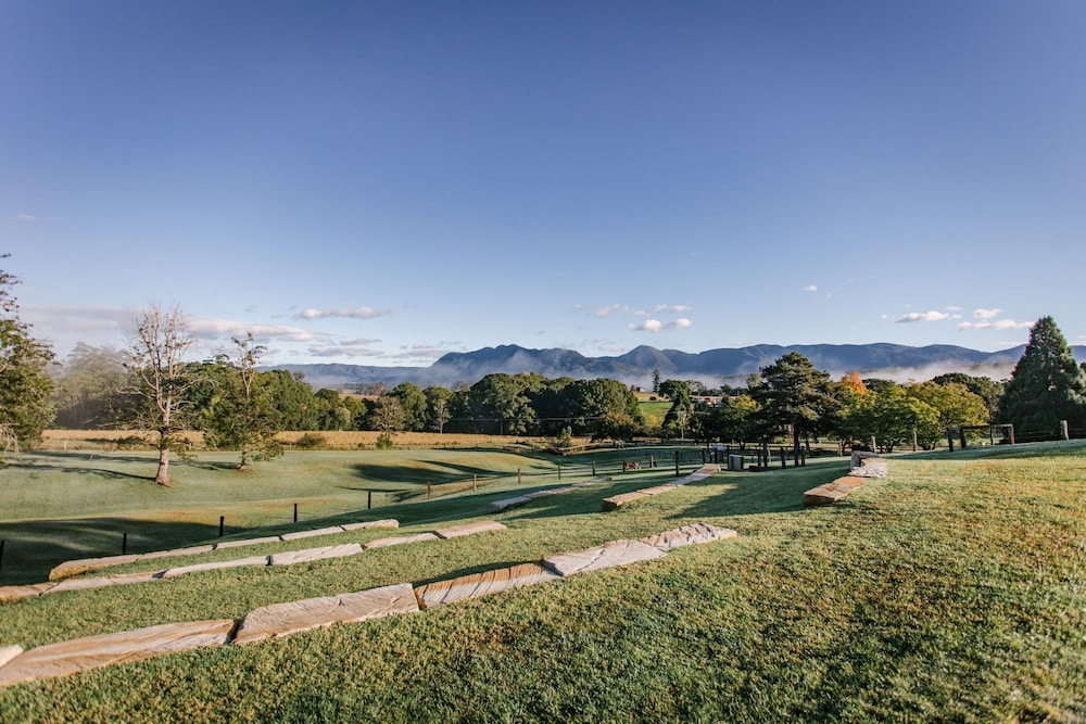 the lodge bellingen