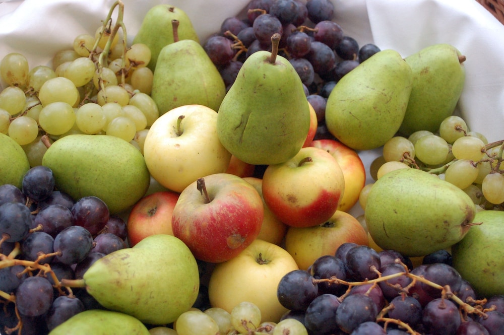 stiftsberg bildungs und freizeitzentrum