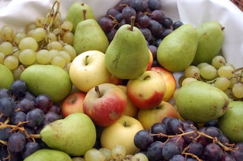 stiftsberg bildungs und freizeitzentrum