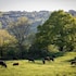 stroud