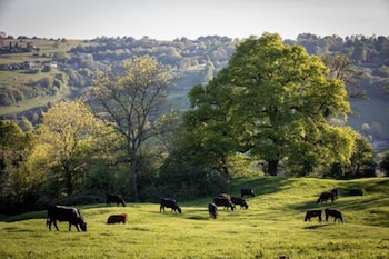 stroud