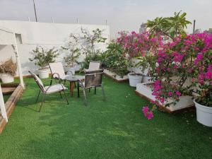 carlton downtown cairo