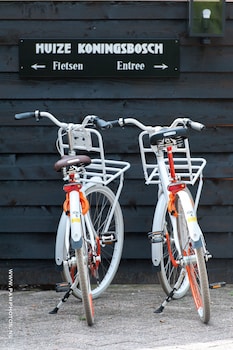 castricum