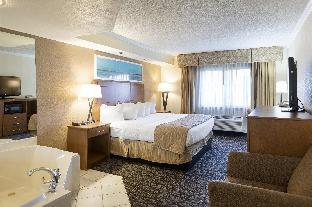 Clarion Hotel Detroit Metro Airport,Detroit Metropolitan Wayne County Airport>>Detroit,3 star