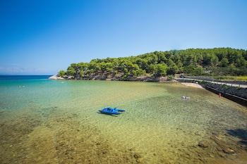 jelsa
