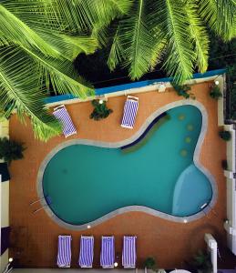 treehouse stamp benaulim south goa