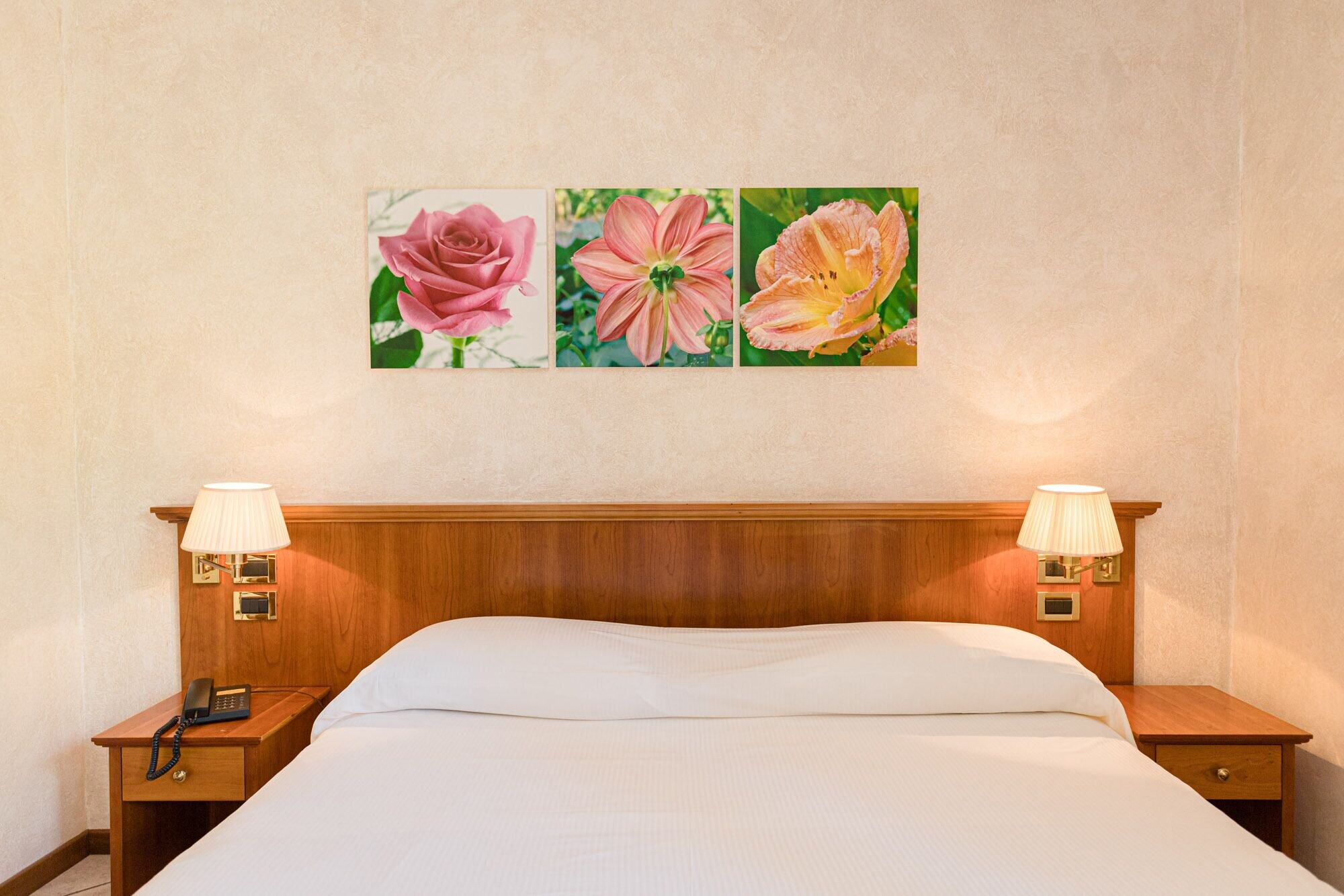 hotel corte regina
