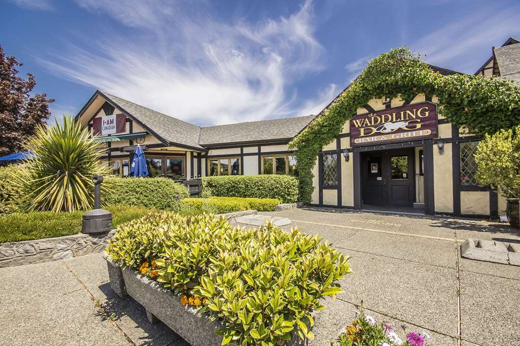 quality inn waddling dog