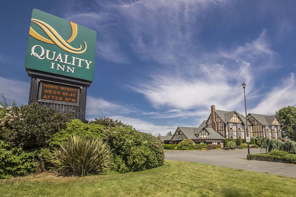 quality inn waddling dog