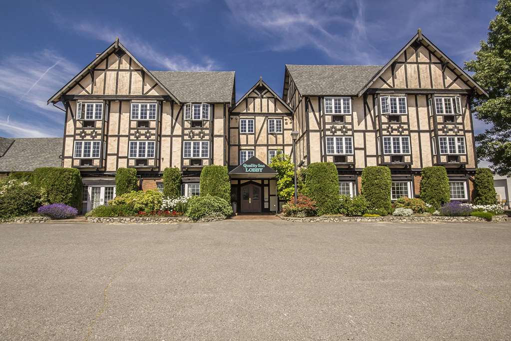 quality inn waddling dog