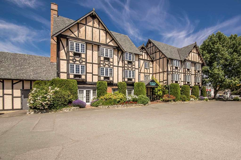 quality inn waddling dog