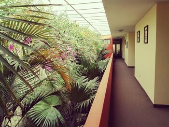 hotel meliana