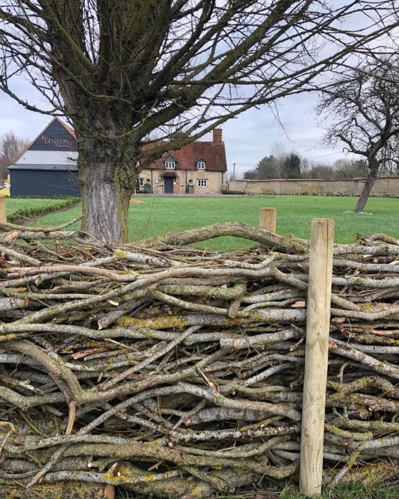 the dinton hermit